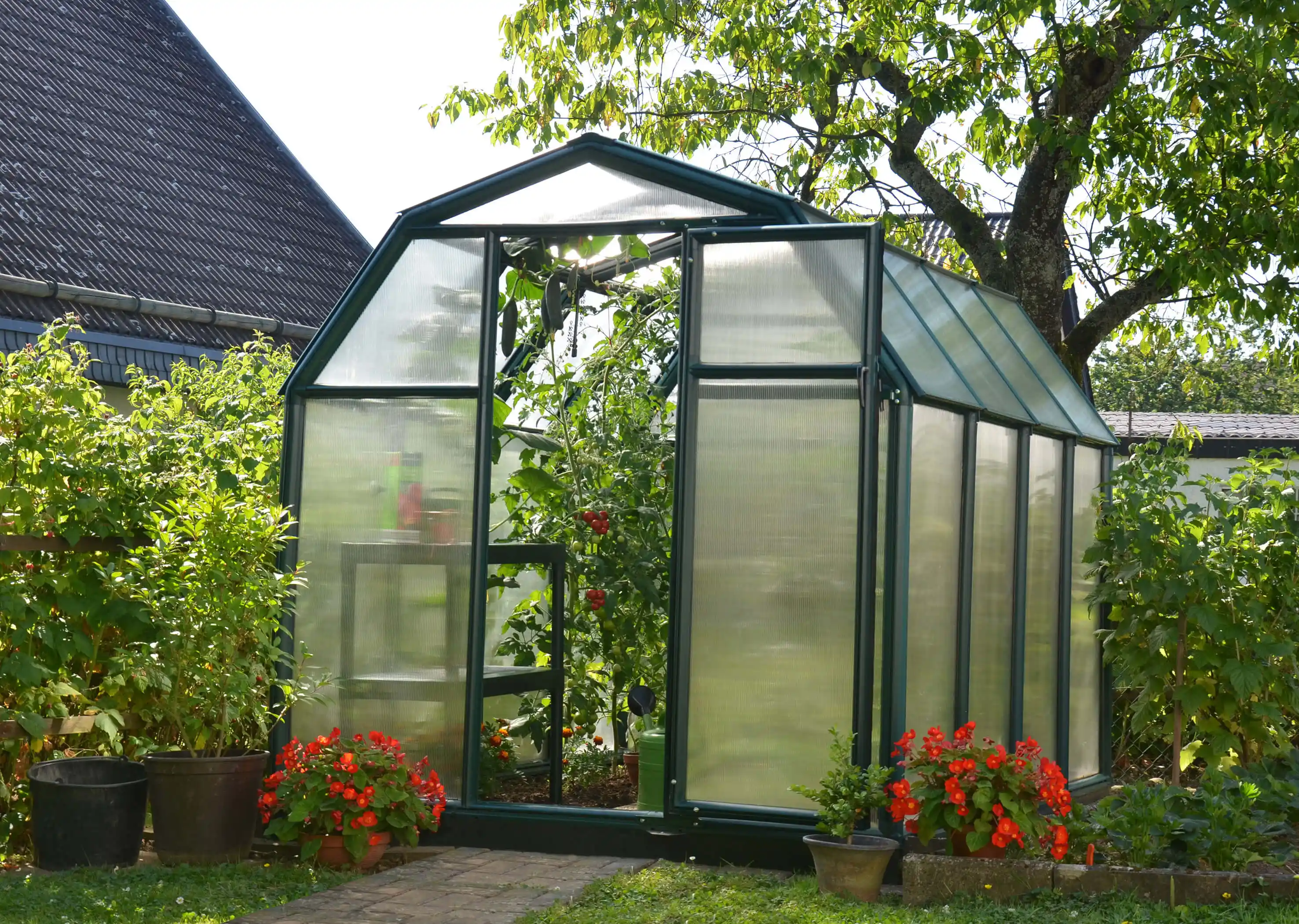 Canopia Eco Grow 259X204X198 cm Tuinkas Groen meerwandig-7290103121778 Canopia Eco Grow 259X204X198 cm Tuinkas Groen meerwandig