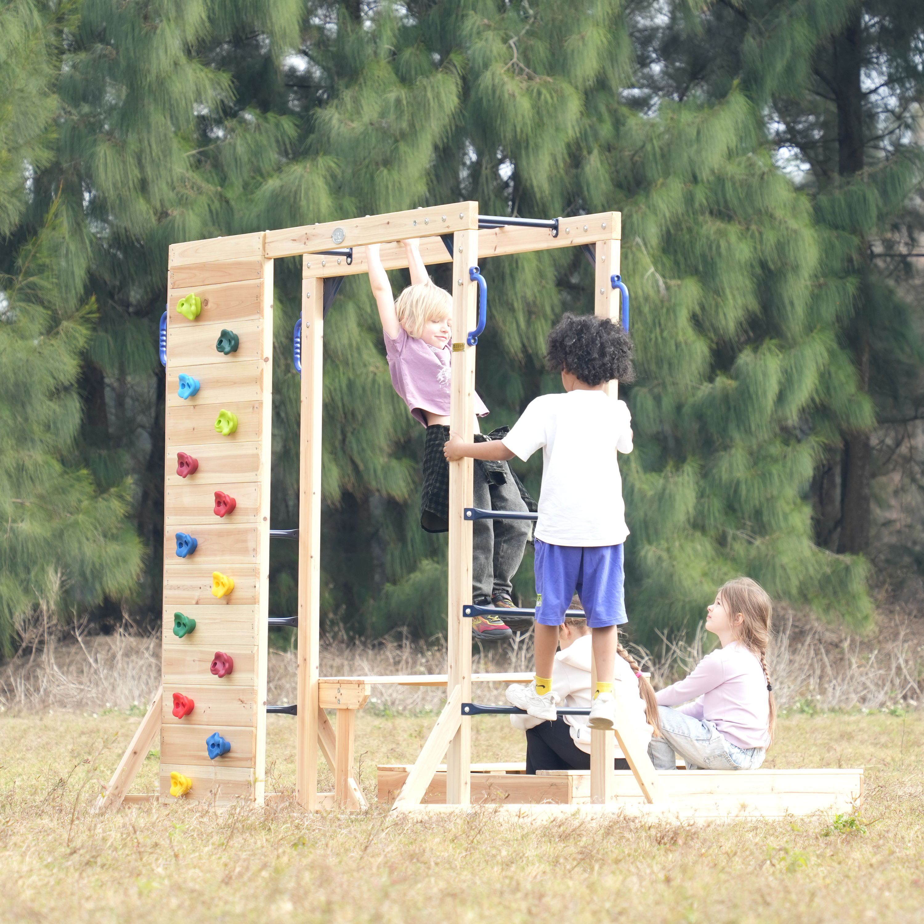 AXI Dex Climbing Frame with Sandbox, Monkey Bars and Picnic Table