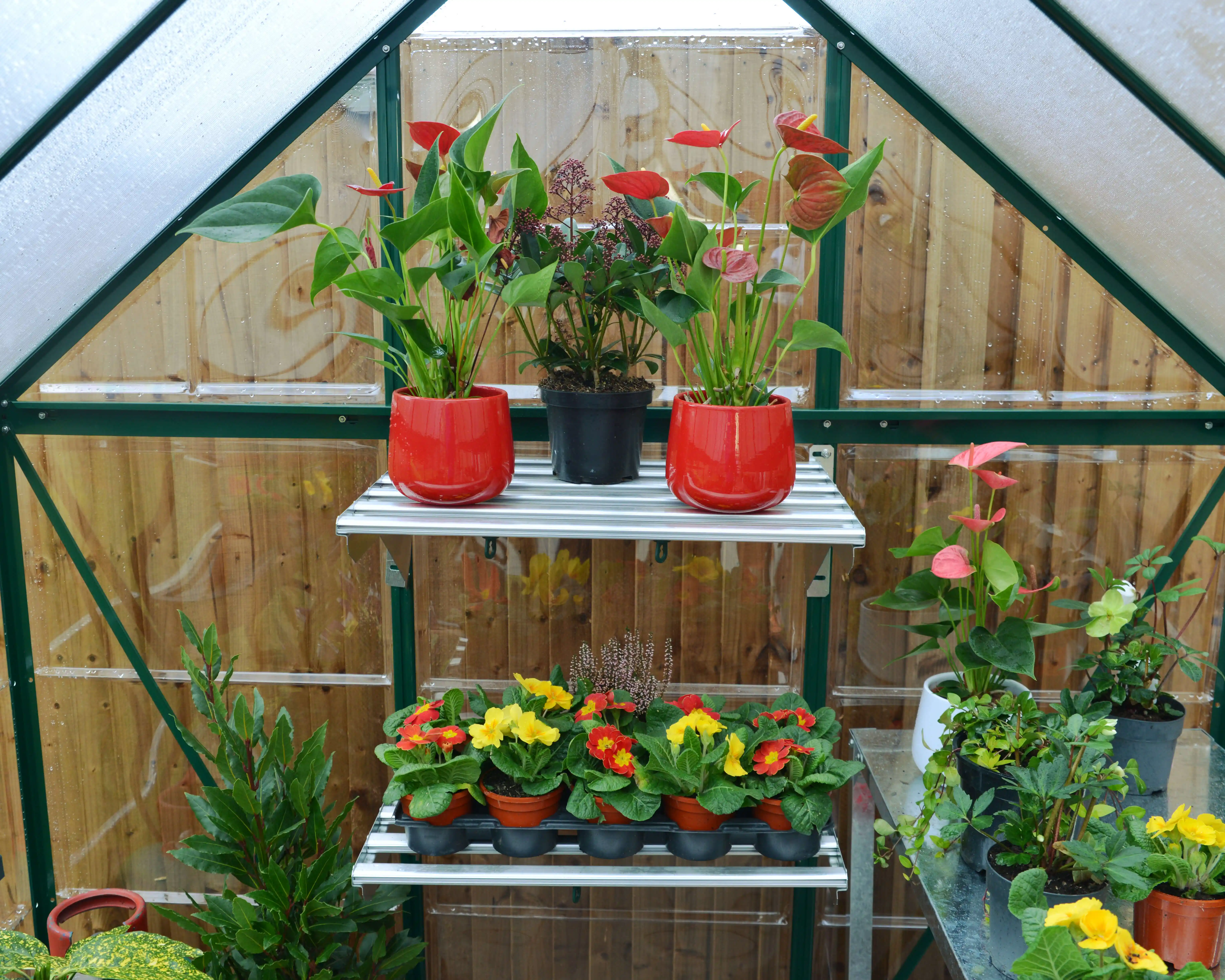Canopia Hybrid 126X185X208 cm Tuinkas Groen-7290103110895 Canopia Hybrid 126X185X208 cm Tuinkas Groen