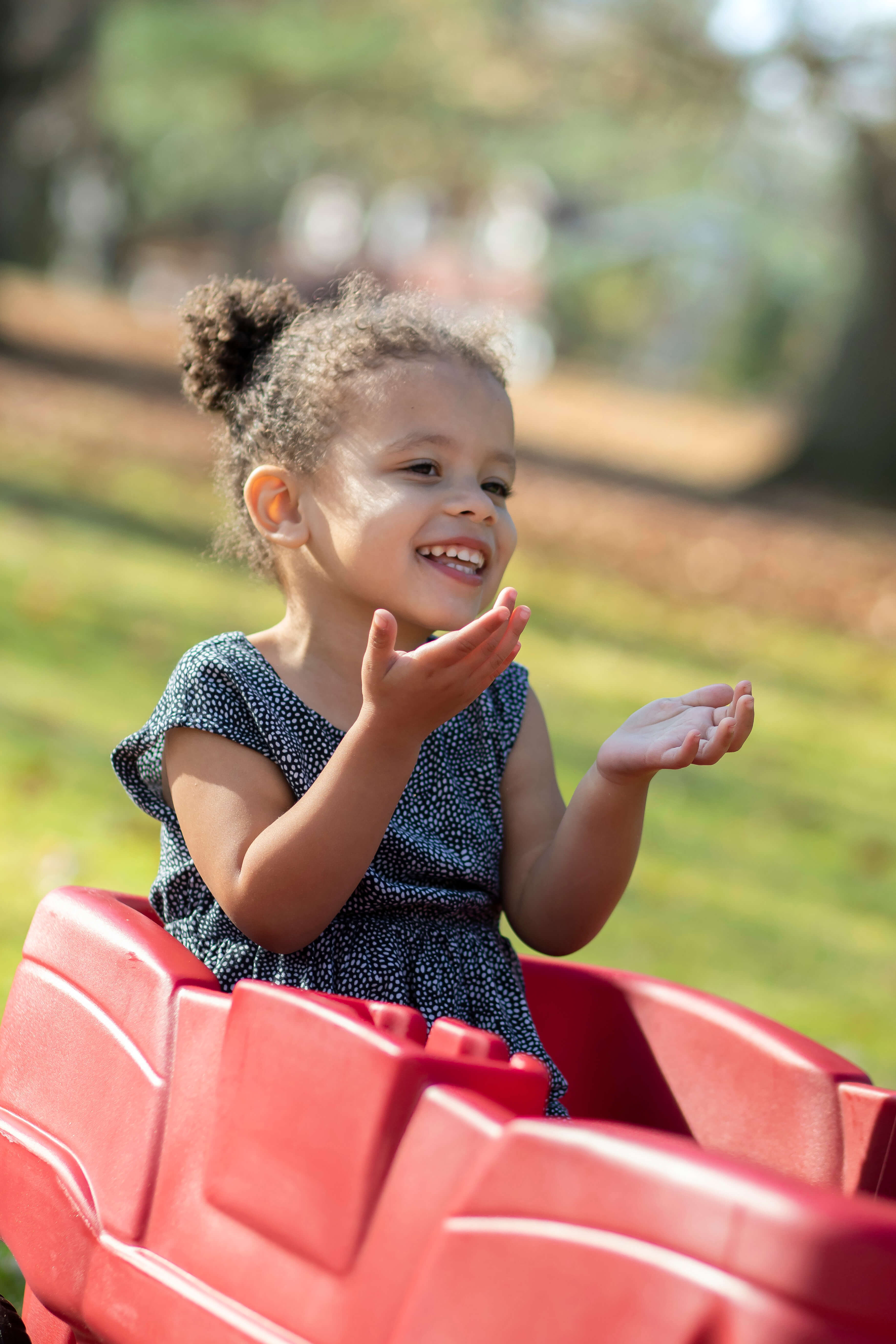 Step2 Neighborhood Wagon