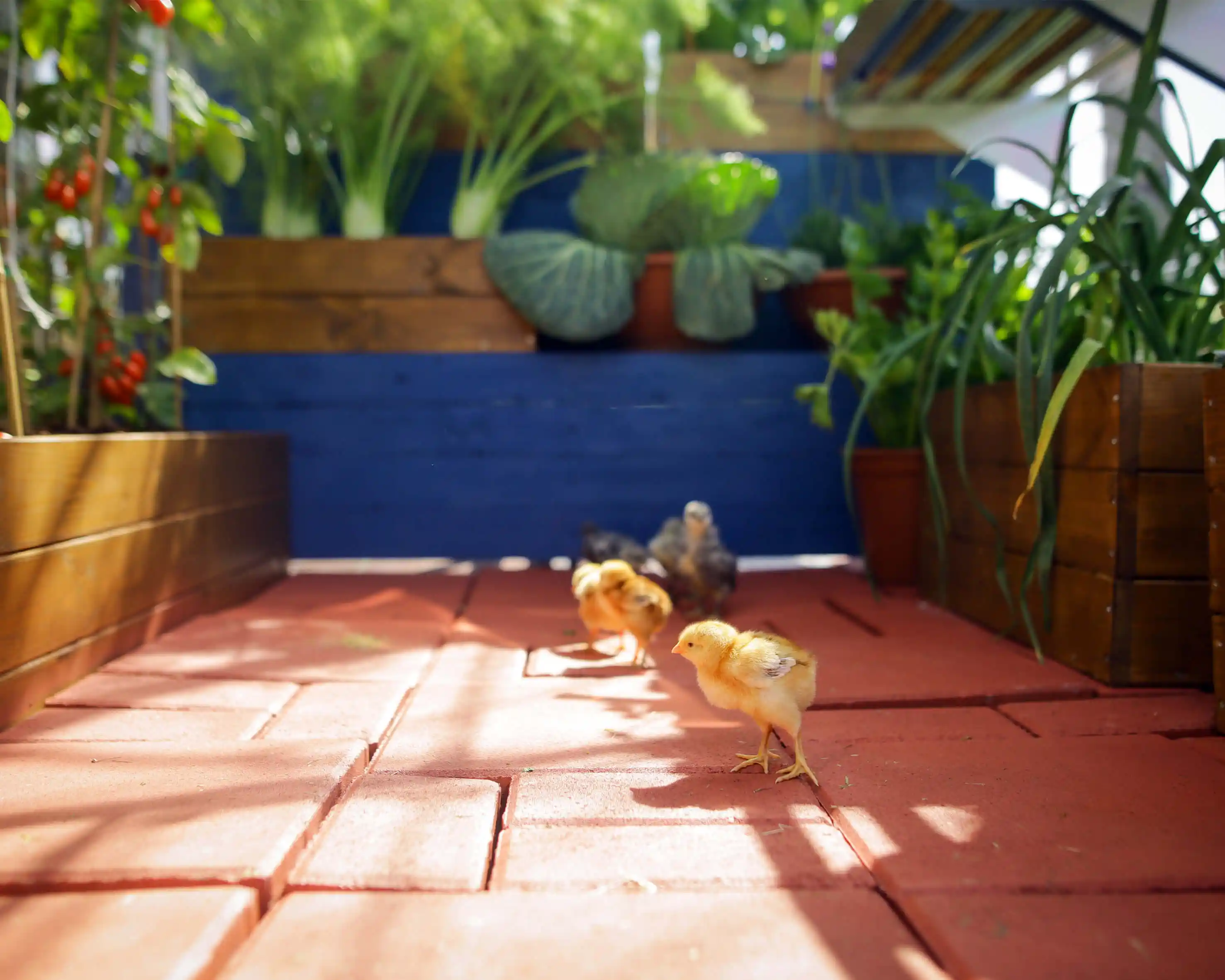 Canopia Hybrid 126X185X208 cm Tuinkas Zilver