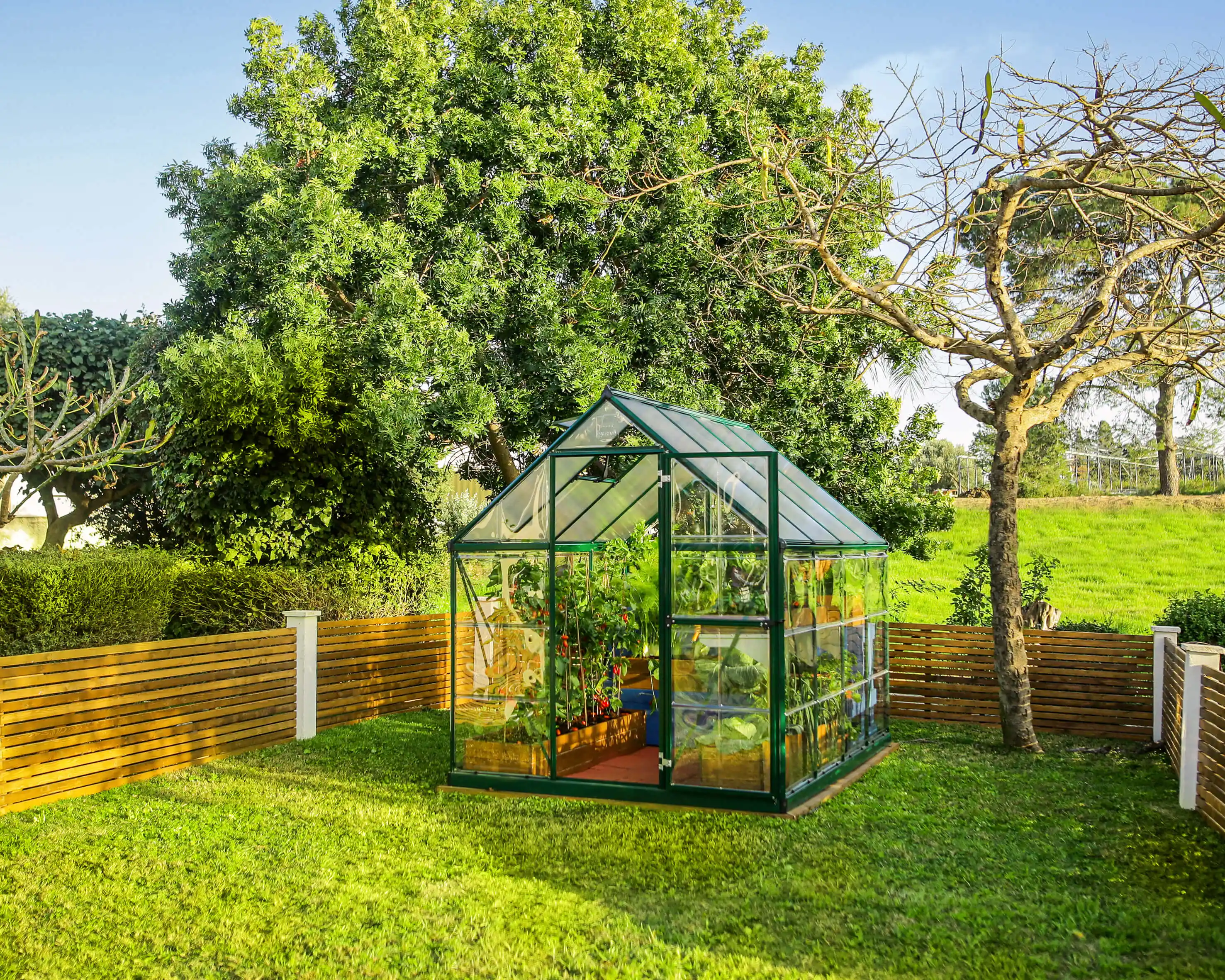 Canopia Hybrid 247X185X208 cm Tuinkas Groen