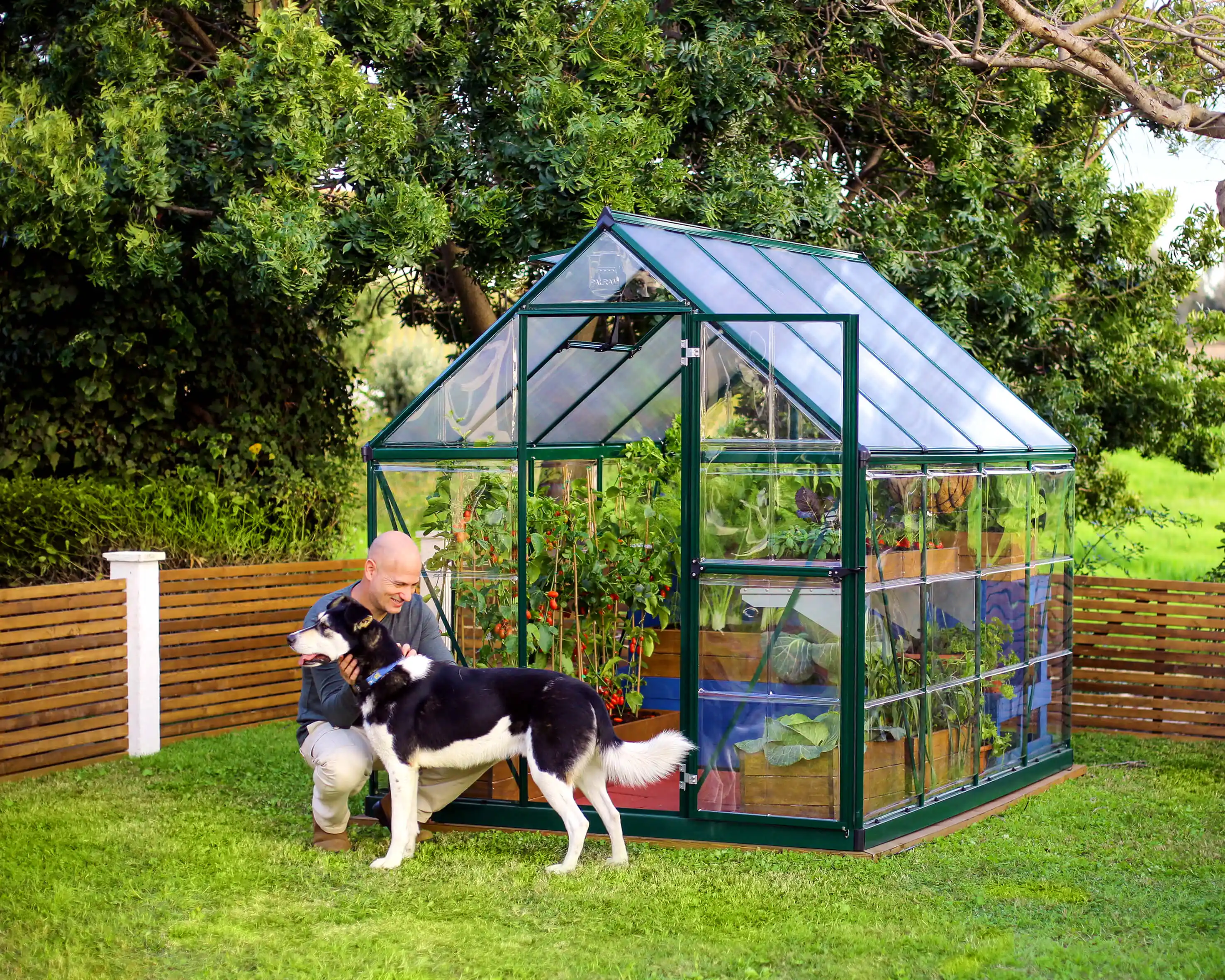 Canopia Hybrid 247X185X208 cm Tuinkas Groen