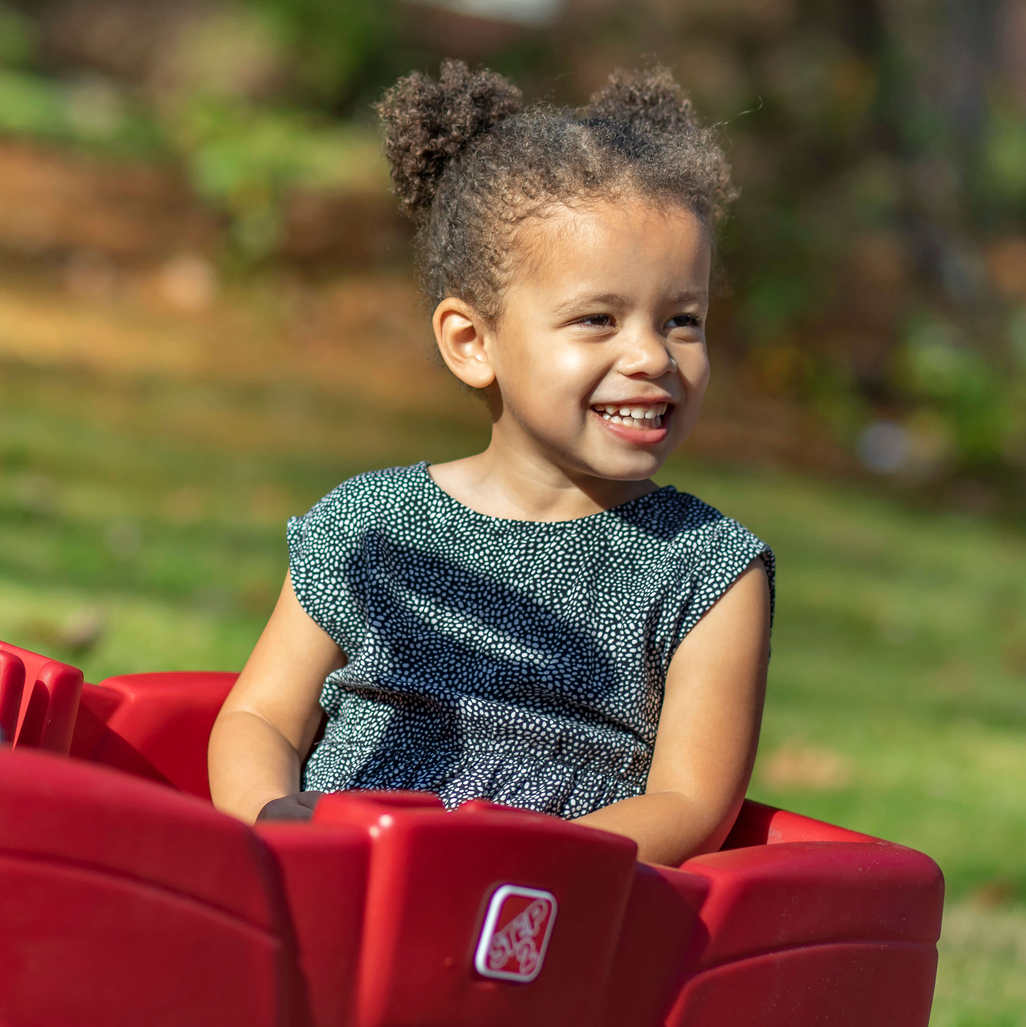 Step2 Neighborhood Wagon