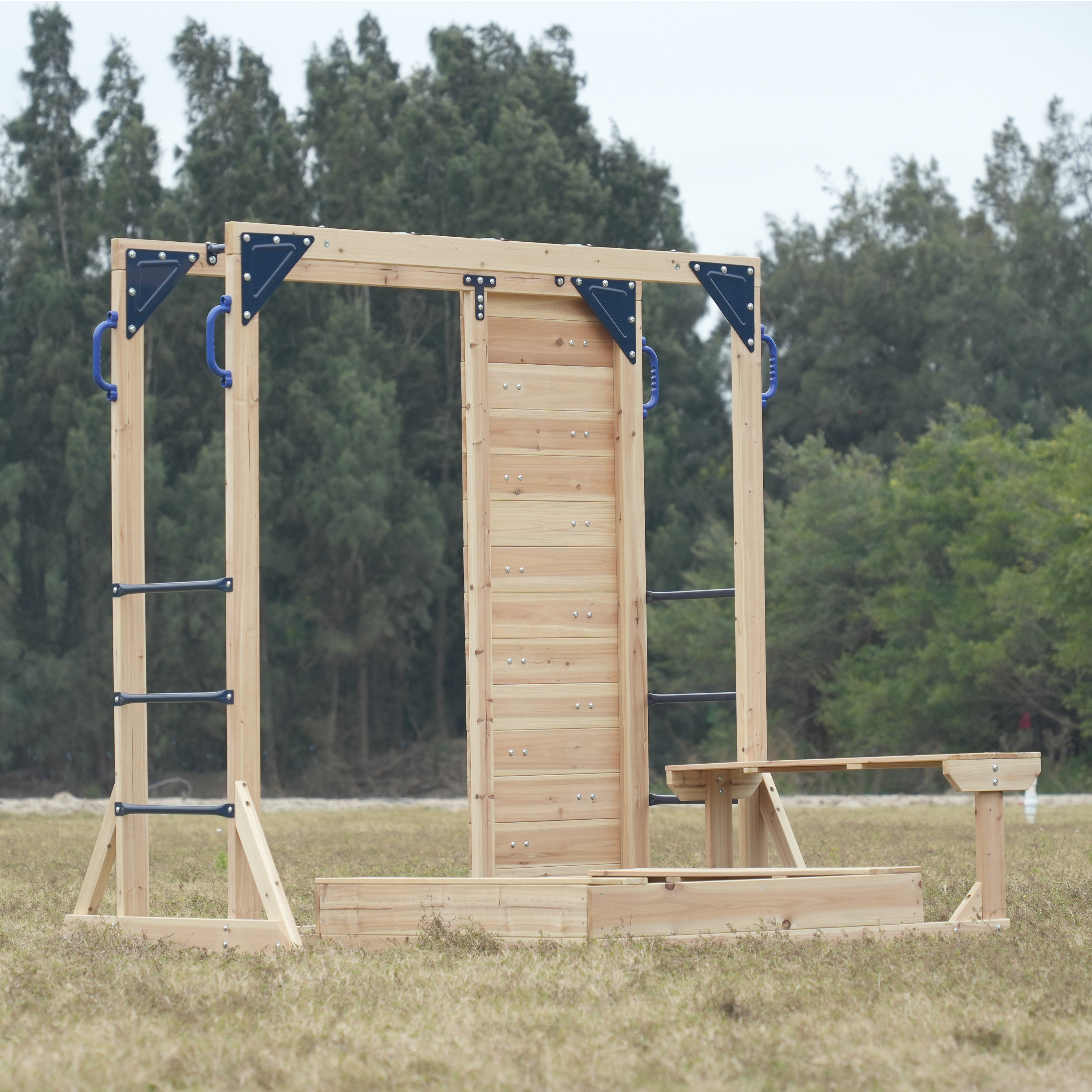 AXI Dex Climbing Frame with Sandbox, Monkey Bars and Picnic Table