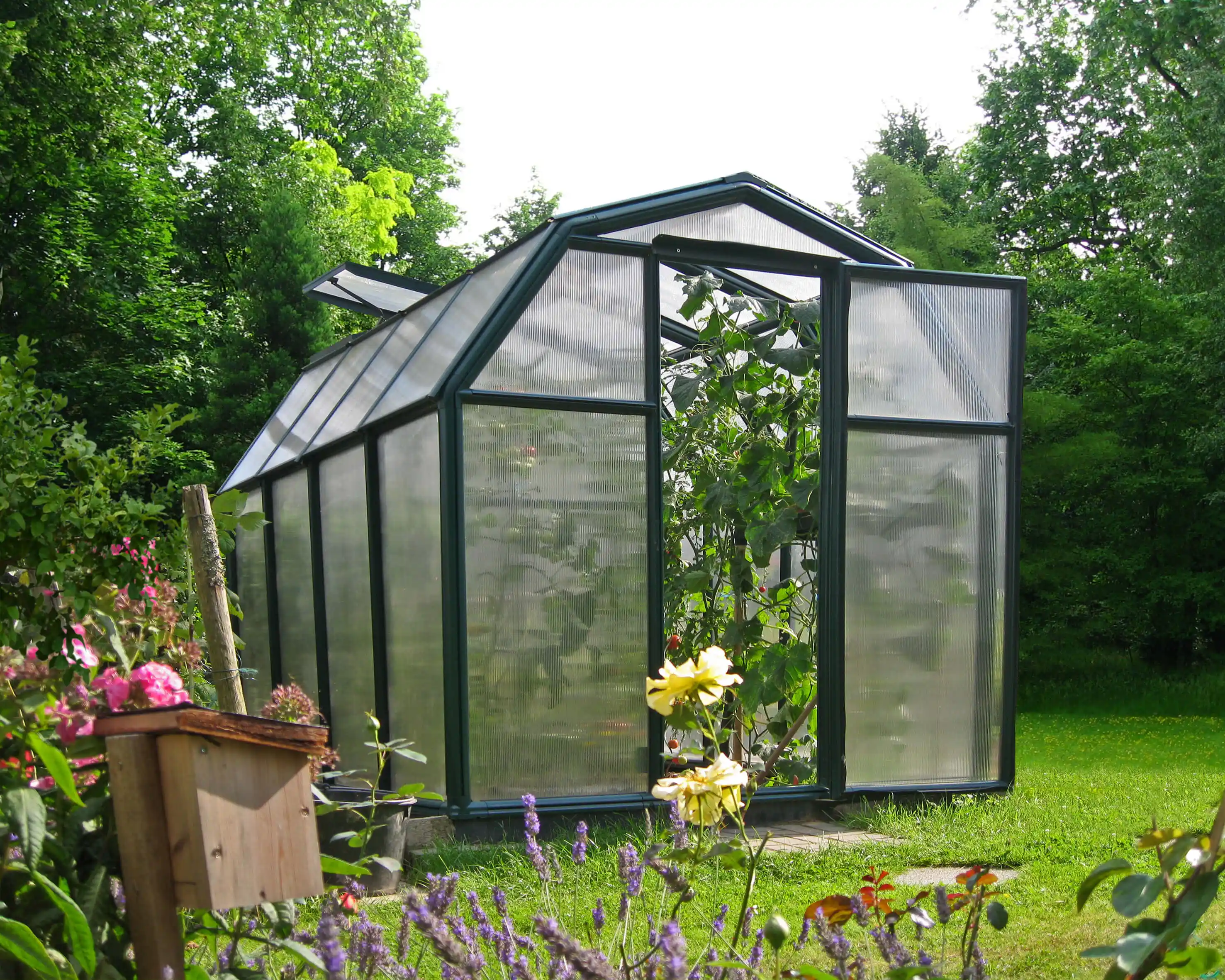 Canopia Eco Grow 259X204X198 cm Tuinkas Groen meerwandig-7290103121778 Canopia Eco Grow 259X204X198 cm Tuinkas Groen meerwandig