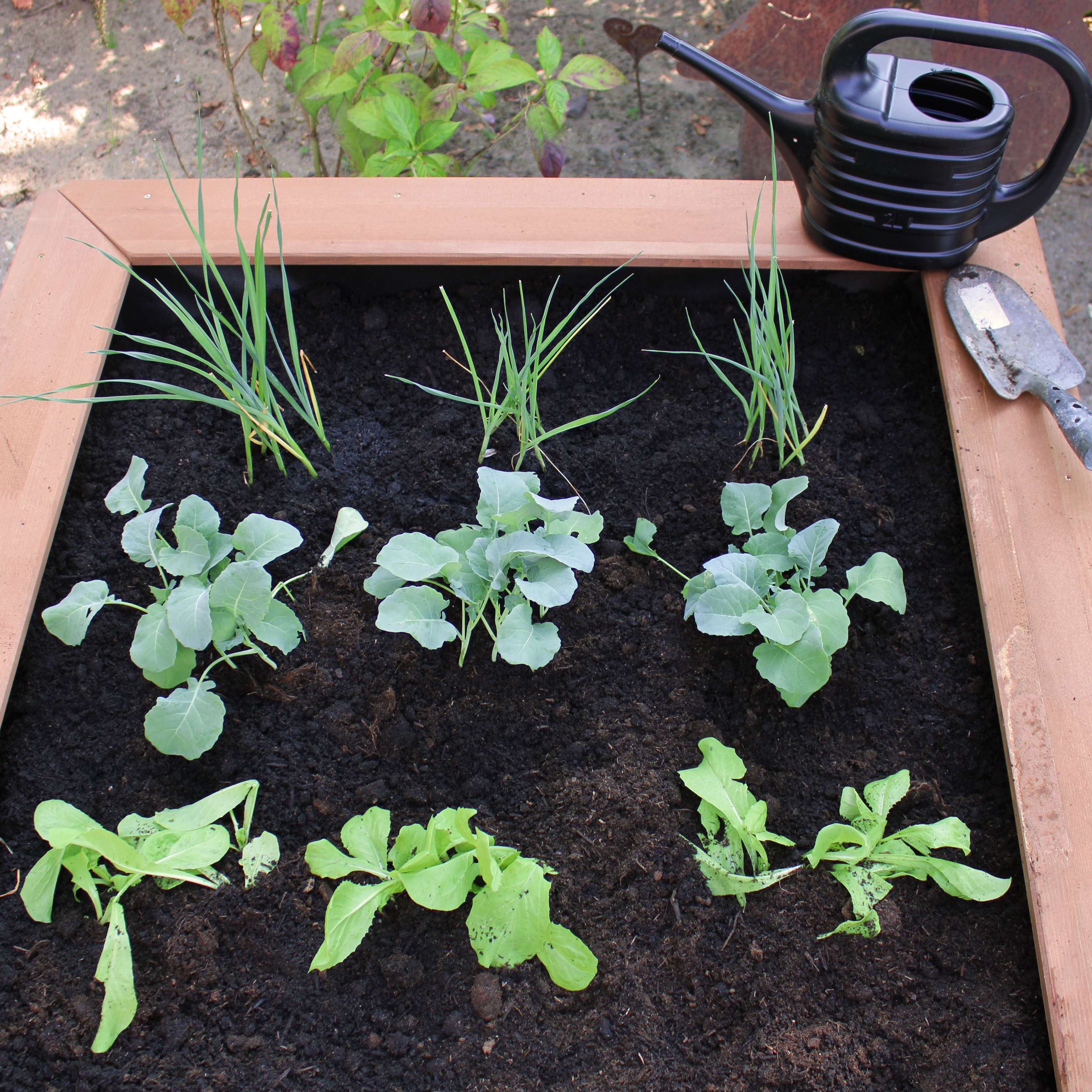 AXI Linda Sand & Gardening Table - Brown