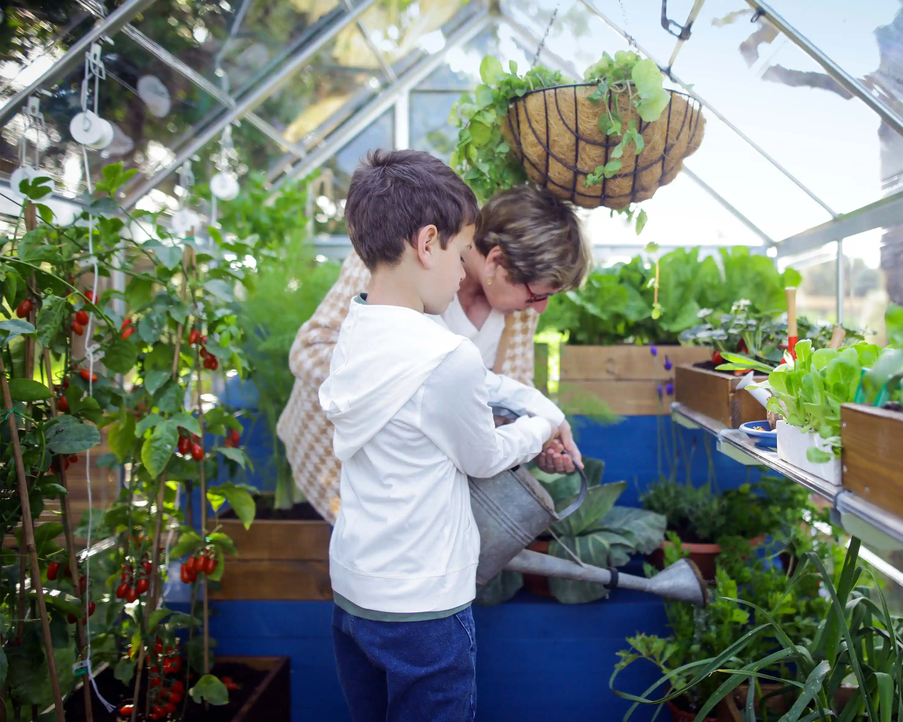 Canopia Harmony 186X185X208 cm Tuinkas Zilver Helder