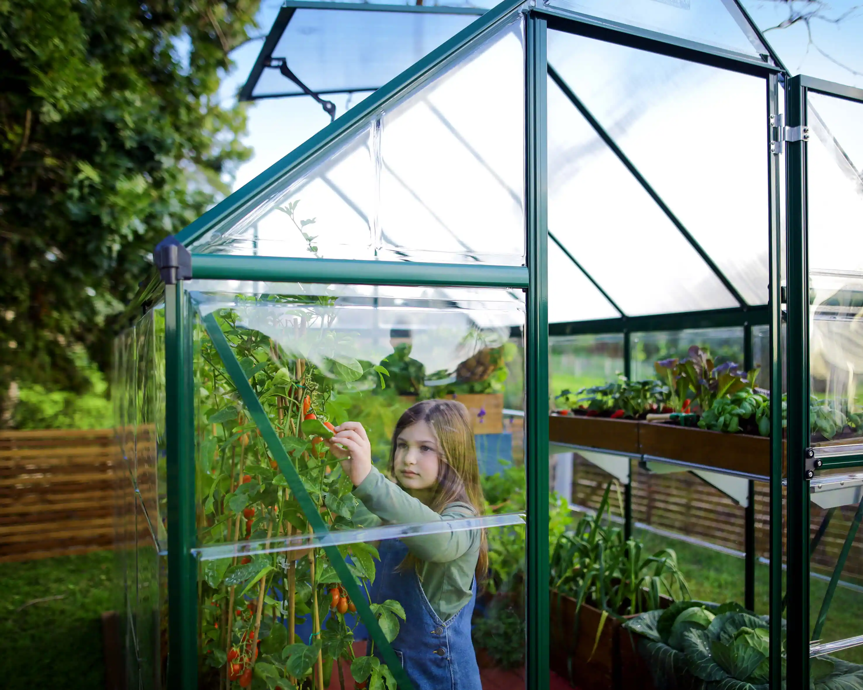Canopia Hybrid 126X185X208 cm Tuinkas Groen-7290103110895 Canopia Hybrid 126X185X208 cm Tuinkas Groen