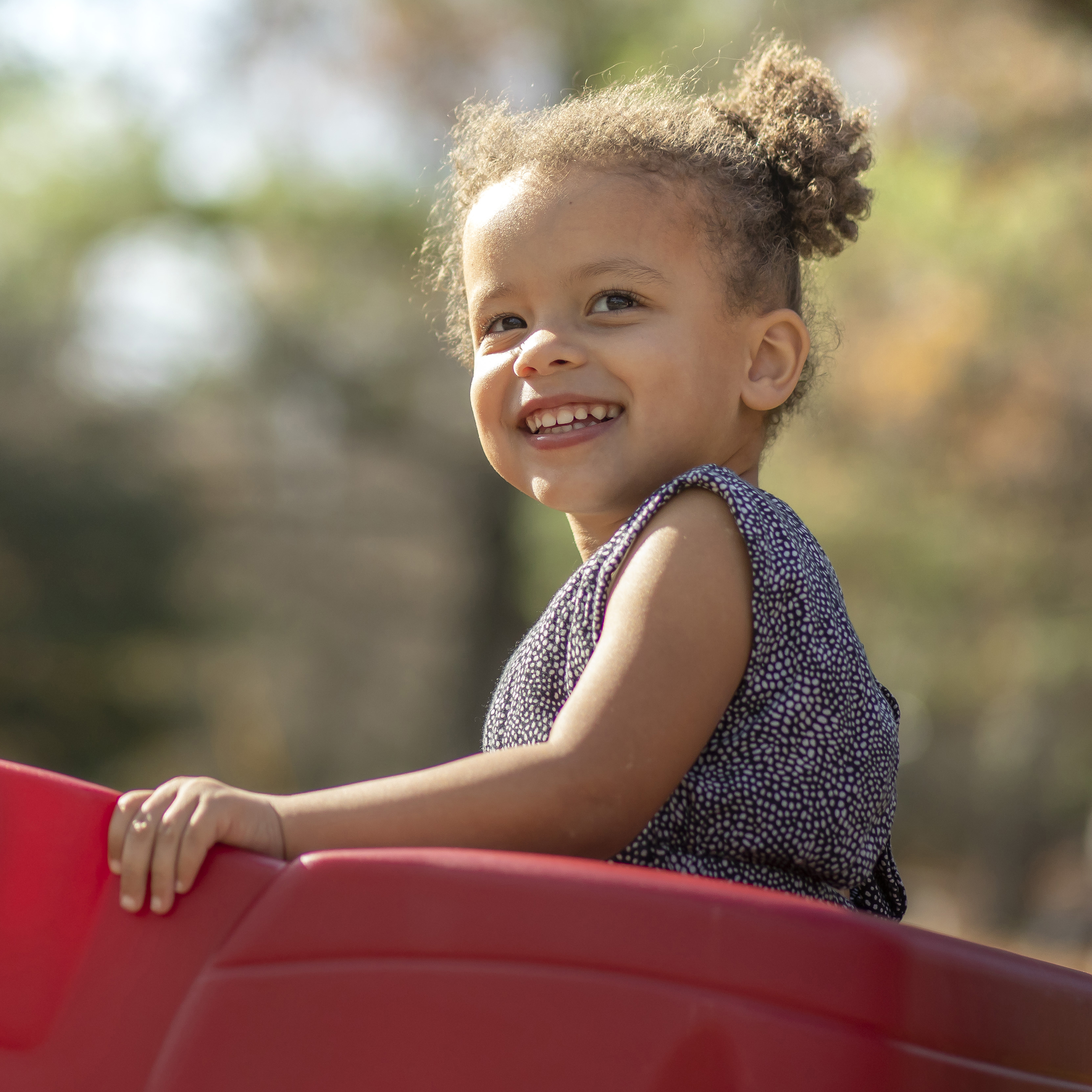 Step2 Neighborhood Wagon