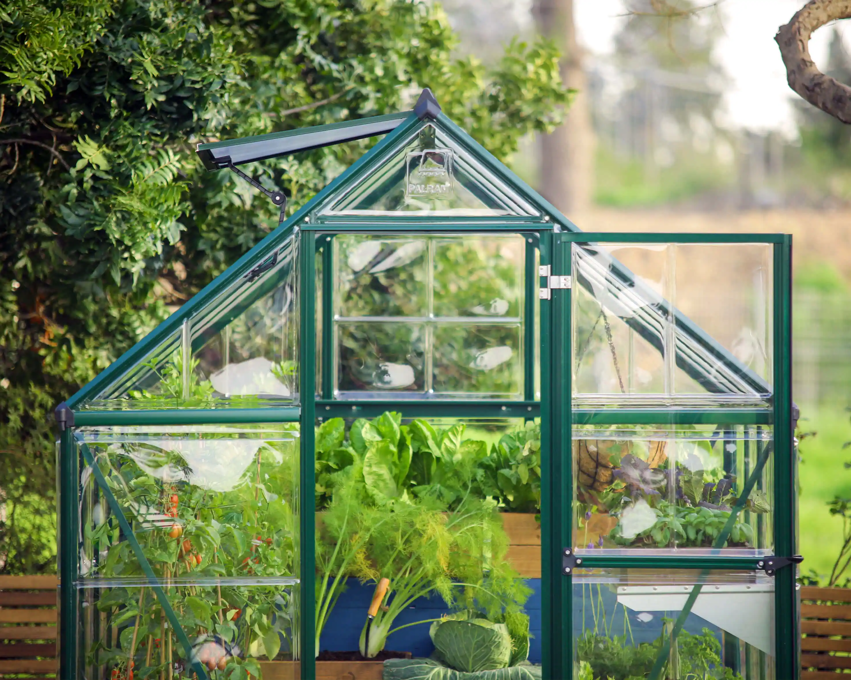 Canopia Hybrid 126X185X208 cm Tuinkas Groen-7290103110895 Canopia Hybrid 126X185X208 cm Tuinkas Groen