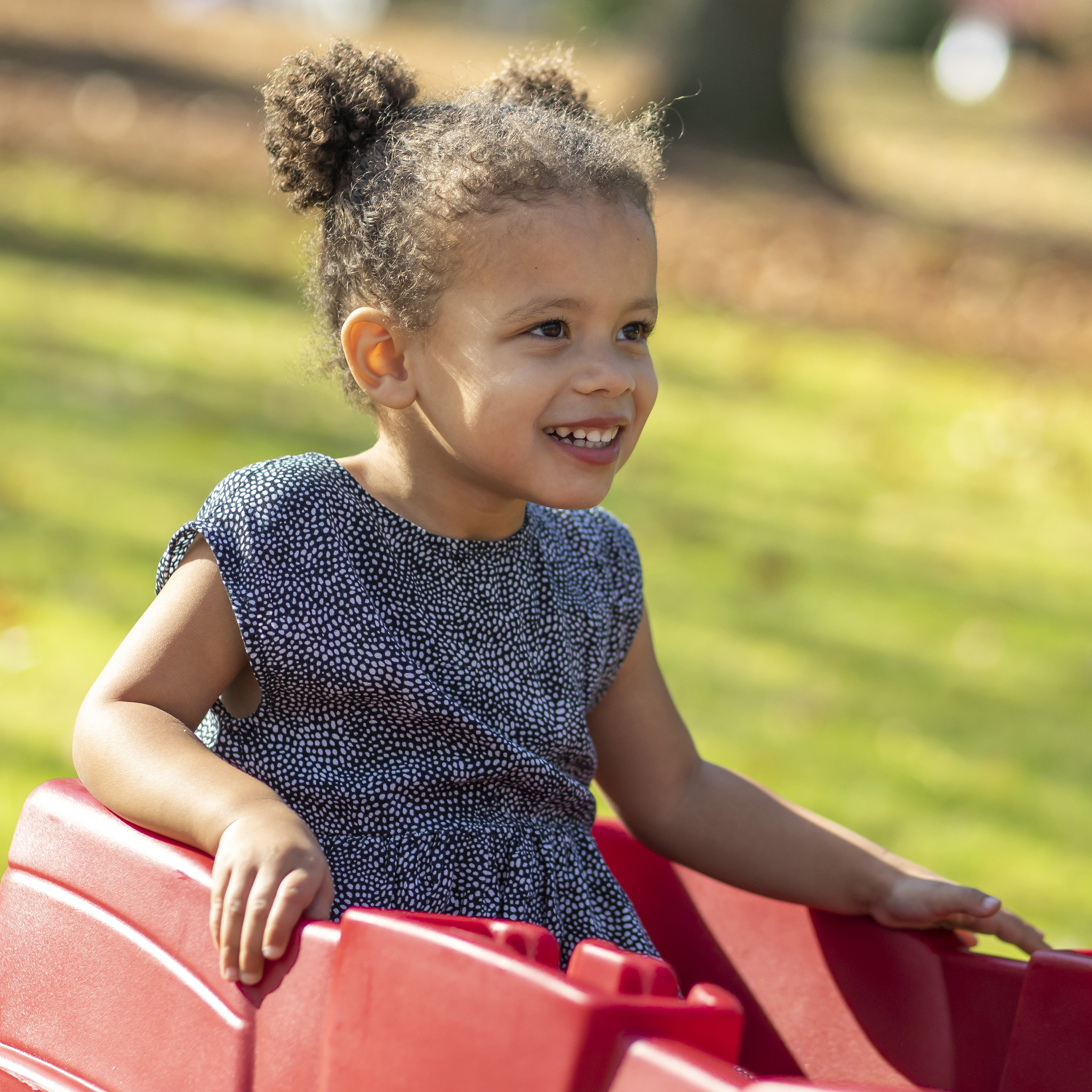Step2 Neighborhood Wagon