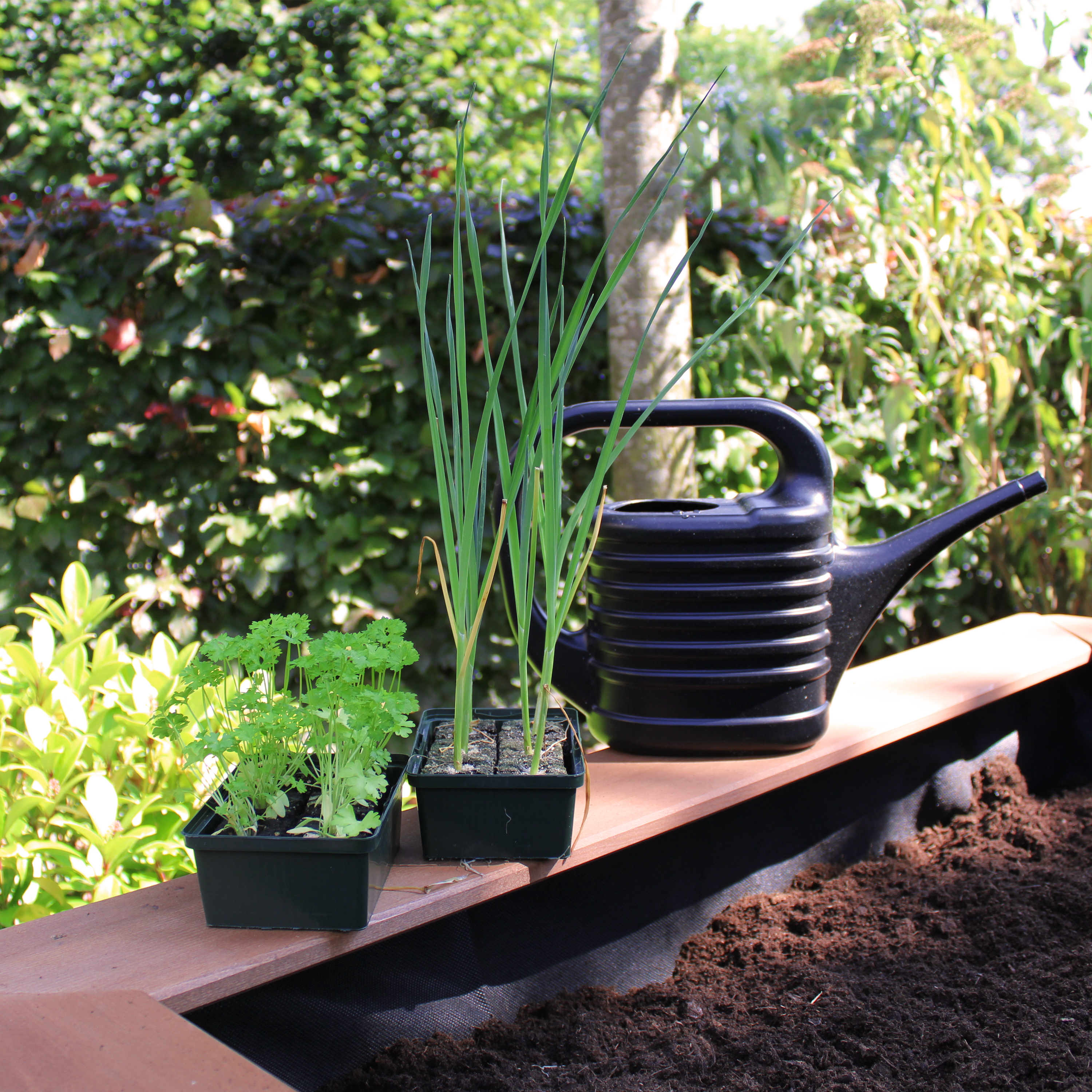 AXI Linda Sand & Gardening Table - Brown