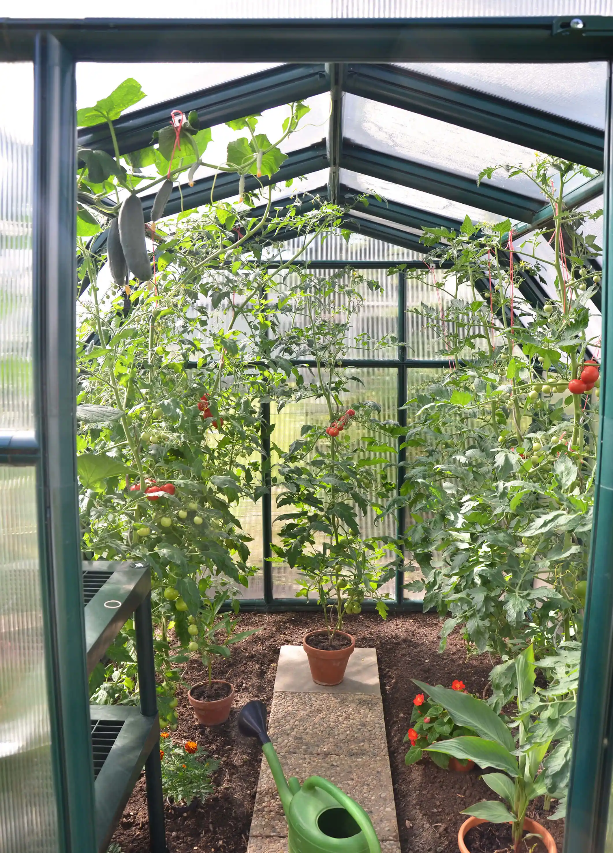 Canopia Eco Grow 259X204X198 cm Tuinkas Groen meerwandig-7290103121778 Canopia Eco Grow 259X204X198 cm Tuinkas Groen meerwandig