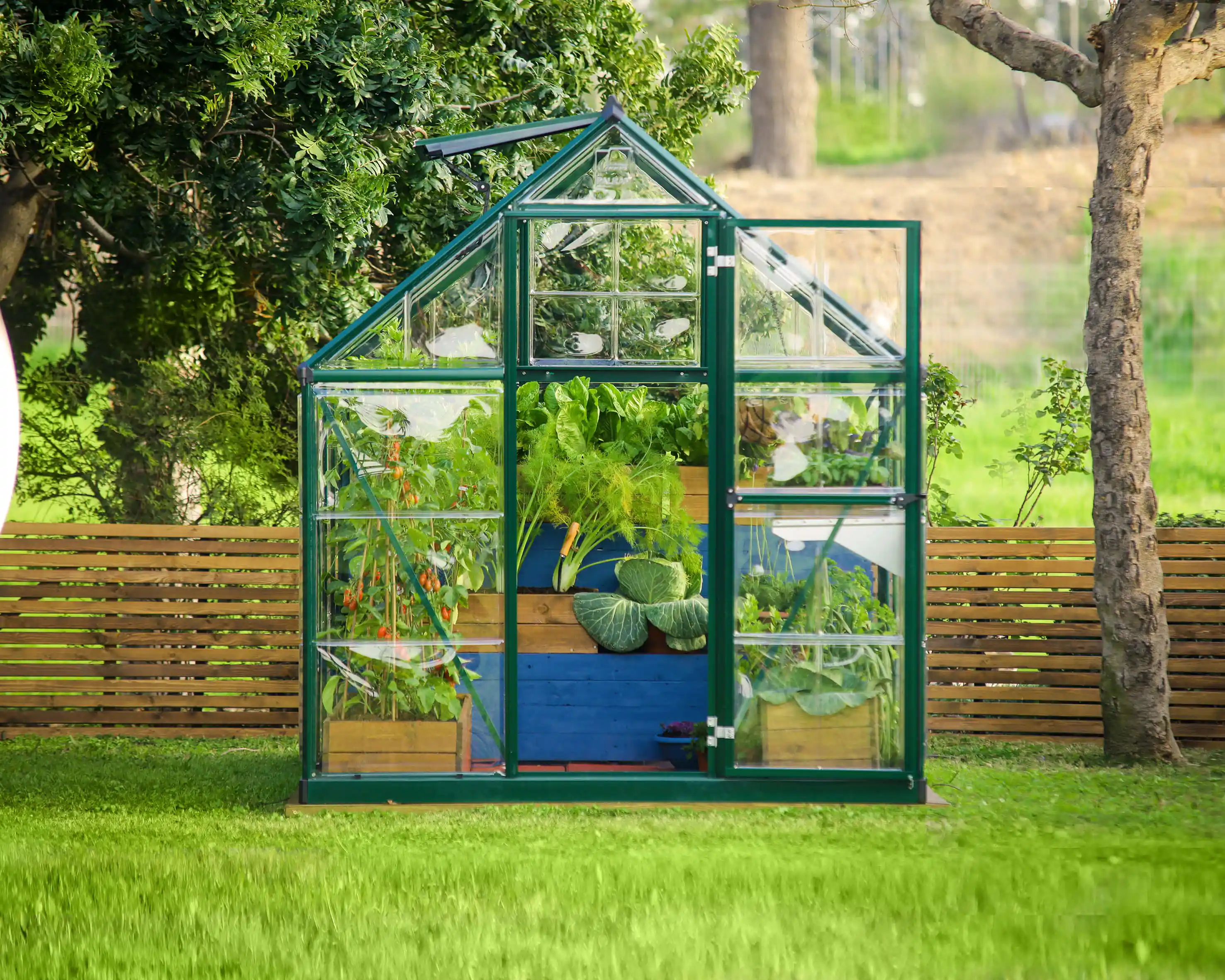 Canopia Hybrid 247X185X208 cm Tuinkas Groen