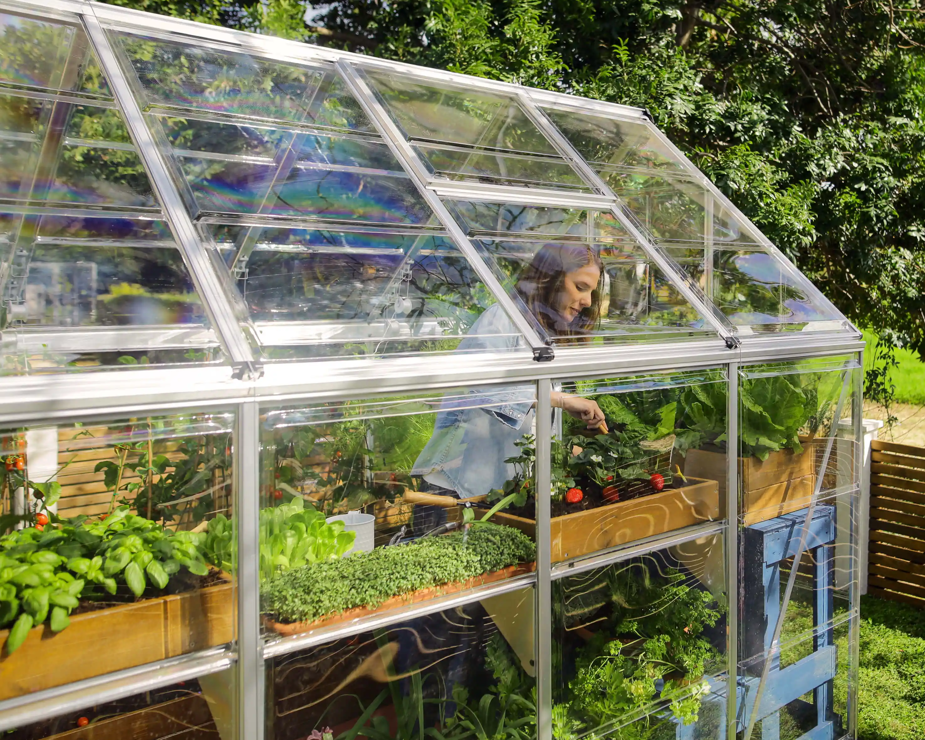 Canopia Harmony 186X185X208 cm Tuinkas Zilver Helder