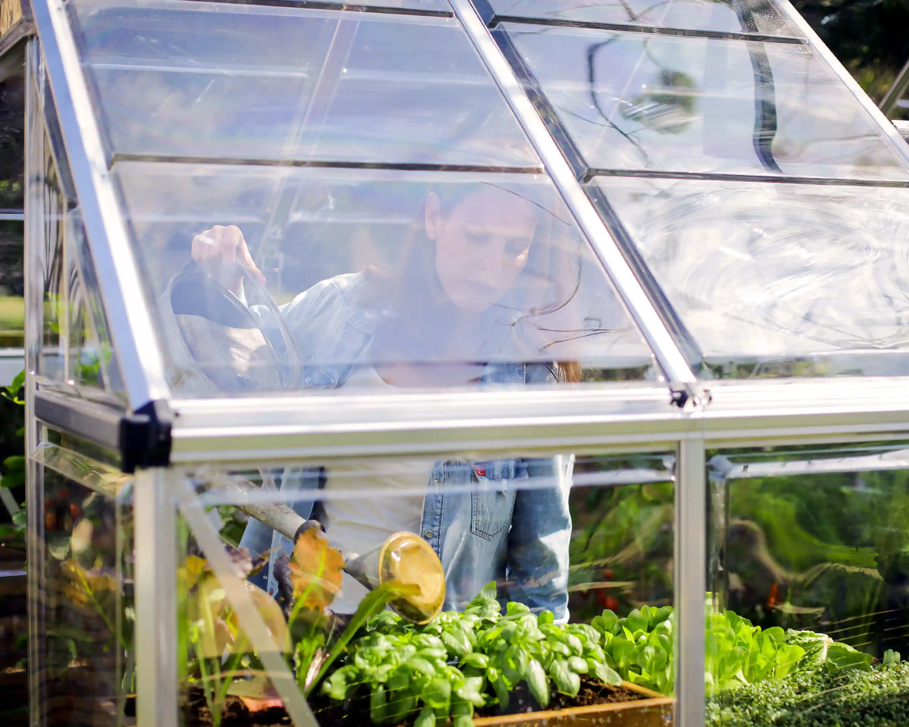 Canopia Harmony 186X185X208 cm Tuinkas Zilver Helder